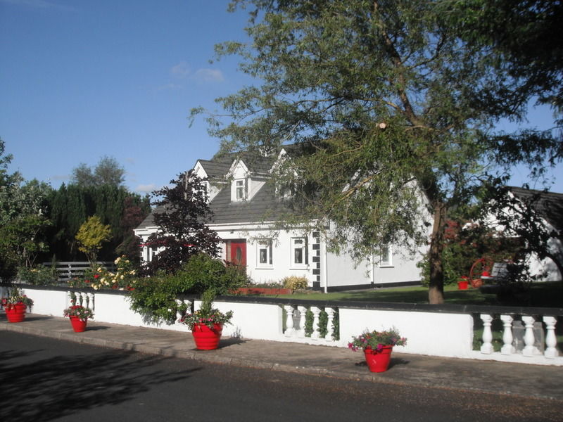 Briar Lodge Bunratty Extérieur photo